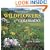Wildflowers of Colorado (Colorado Littlebooks)
