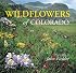 Wildflowers of Colorado (Colorado Littlebooks)