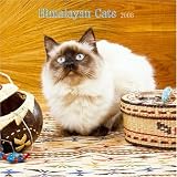 Himalayan Cats 2008 Square Wall Calendar