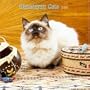 Himalayan Cats 2008 Square Wall Calendar (German, French, Spanish and English Edition)
