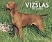 Books : Just Vizslas 2009 Calendar (Just)