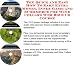 Book The Quick and Easy How To Earn Extra Money, Inner Game and eCommerce for Wine Cellars Web Biz 3 CD Course