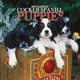 Cocker Spaniel Puppies 2007 Mini Calendar