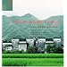 House Home Family: Living and Being Chinese