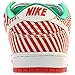 Nike DUNK LOW PREMIUM SB mens skateboarding-shoes 313170-613