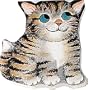 Kitten (Pocket Pals (Safari Ltd))