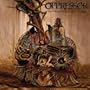 The Solstice Of Agony And Corrosion