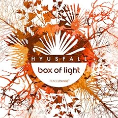 Box Of Light