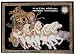 The Mahabharata Painting On Black Velvet - Krishna And Arjun On The Battlefield - Bha...