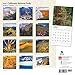 California National Parks 2016 Wall Calendar