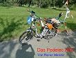 pedelec fahrrad