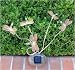 Solar Garden Lights - Dragonflies