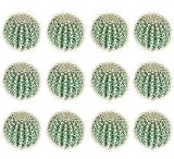 12 Pieces of 6" Barrel Artificial Cactus Desert Plants