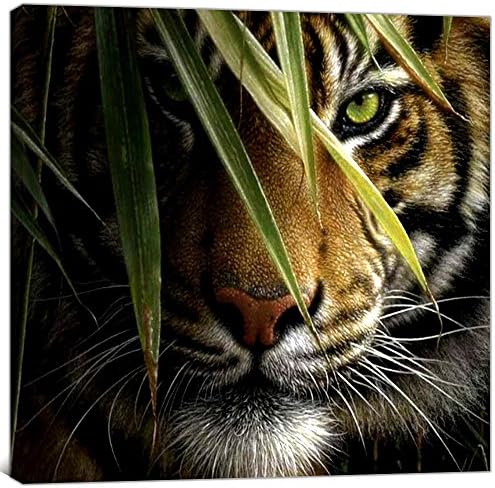 Animal Tiger Picture Wall Art on Canvas Printed Posters and Prints for Living Room Home Decor Stretched Ready to Hang Green Yellow (20 X 20 Inch)