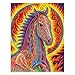 Alex Grey 2016 Wall Calendar