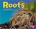 Roots (Plant Parts)