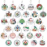 Janlynn 14 Count Counted Cross Stitch Kit with 2-Inch Round Lotsa Christmas Ornaments, Set of 30