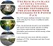 Search : The Rich Man's Make An Extra Income, Success Principles and Biz Networking for Juke Boxes Web Businesses 3 CD Power Pack