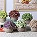Velener Mini Plastic Artificial Pine Ball Topiary Plant with Pots for Home Decor (Purple Clover)