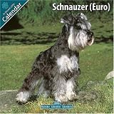 Schnauzer (Euro) 2010 Wall Calendar #10068-10