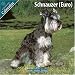 schnauzer30 - Schnauzer Euro 2010 Wall Calendar 1006810