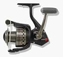 Sargus 5000 Spinning Reel
