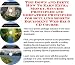 The Secret Earn More Money, Marketing and Inner Game for Sculling Sports Equipment Internet Businesses 3 CD Power Pack