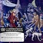 Forest of Equilibrium