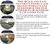 Book The Quick and Easy Generate Extra Cash, Biz Networking and eCommerce for DVD Authoring Businesses 3 CD Combo Pack