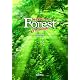 総合英語Forest 6th edition