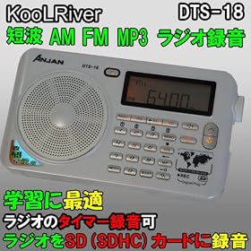 DTS-18���w�K�ɍœK���^�C�}�[�^�����`�l�^�e�l�^�Z�g���W�I��SD�J�[�h�ɘ^�����l�o�R�Đ��Ή� /���n���p(�{�̐F�F�u���b�N)
