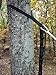 Parachute Hammock by Goodman Gear Includes Hanging Tree Straps for limited time! Best Portable Hammock for Hiking, Backpacking, Camping, Scouting, Expeditions, Backyard Relaxing and Dorm Rooms. Why Pay More Separate? Brought to You By a Top USA Outfitter and Satisfaction Is Guaranteed!