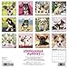 Just Chihuahua Puppies 2016 Calendar