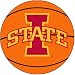 Search : Fanmats Iowa State Cyclones Basketball-Shaped Mat