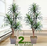 TWO 6' Yucca Artificial Trees with 5 Heads, with No Pot,