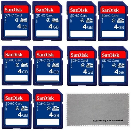 SanDisk 4 GB Class 4 SD Flash Memory Card 10 Pack With Everything But