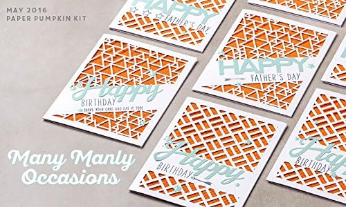 May 2016 Stampin' Up! Monthly Paper Pumpkin Many Manly Occasions Complete Kit