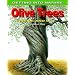 Olive Trees Inside and Out (Getting Into Nature)