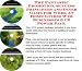 The Fantastic Promotion, Success Principles and Inner Game for Work At Home Guides Web Businesses 3 CD Power Pack