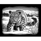 Reeves Snow Leopard Scraperfoil Artwork, Silver