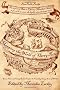 Mapping the World of Harry Potter