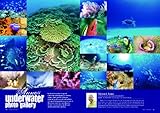 Okinawa Island Guide2011-2012-