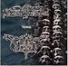 Music : War III (French Import)