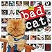 Bad Cat 2014 Wall Calendar