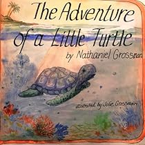 The Adventure of a Little Turtle