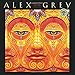 Alex Grey 2016 Wall Calendar