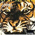 Eye of the Tiger