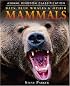 Bats, Blue Whales & Other Mammals (Animal Kingdom Classification)