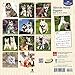 Siberian Husky Puppies 2017 Calendar