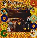 Fuzz, Flaykes, & Shakes, Vol. 7: You Make Me Lose My Mind
